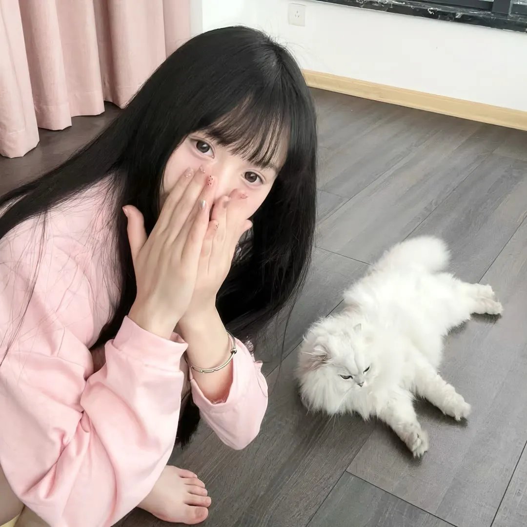 甄嬛传